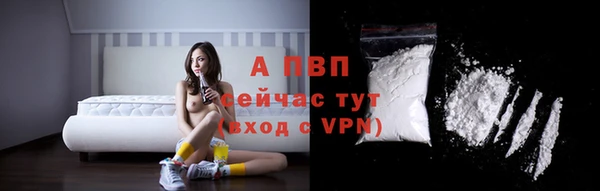 крисы Новодвинск