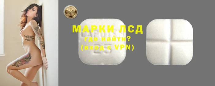 крисы Новодвинск