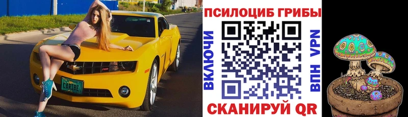 где купить наркоту  blacksprut ссылки  Псилоцибиновые грибы Magic Shrooms  Сольвычегодск 